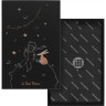Блокнот MOLESKINE LIMITED EDITION PETIT PRINCE Large 130х210 мм 240 стр., линейка, твердая обложка, черный LEPP04QP060BOX